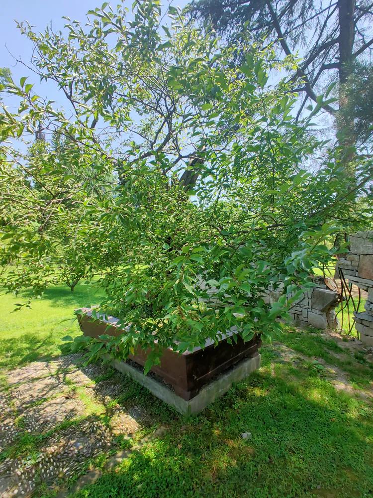 曾作为禁地，与外界隔绝二百六十多年的“玄武湖”，今日锣鼓喧天