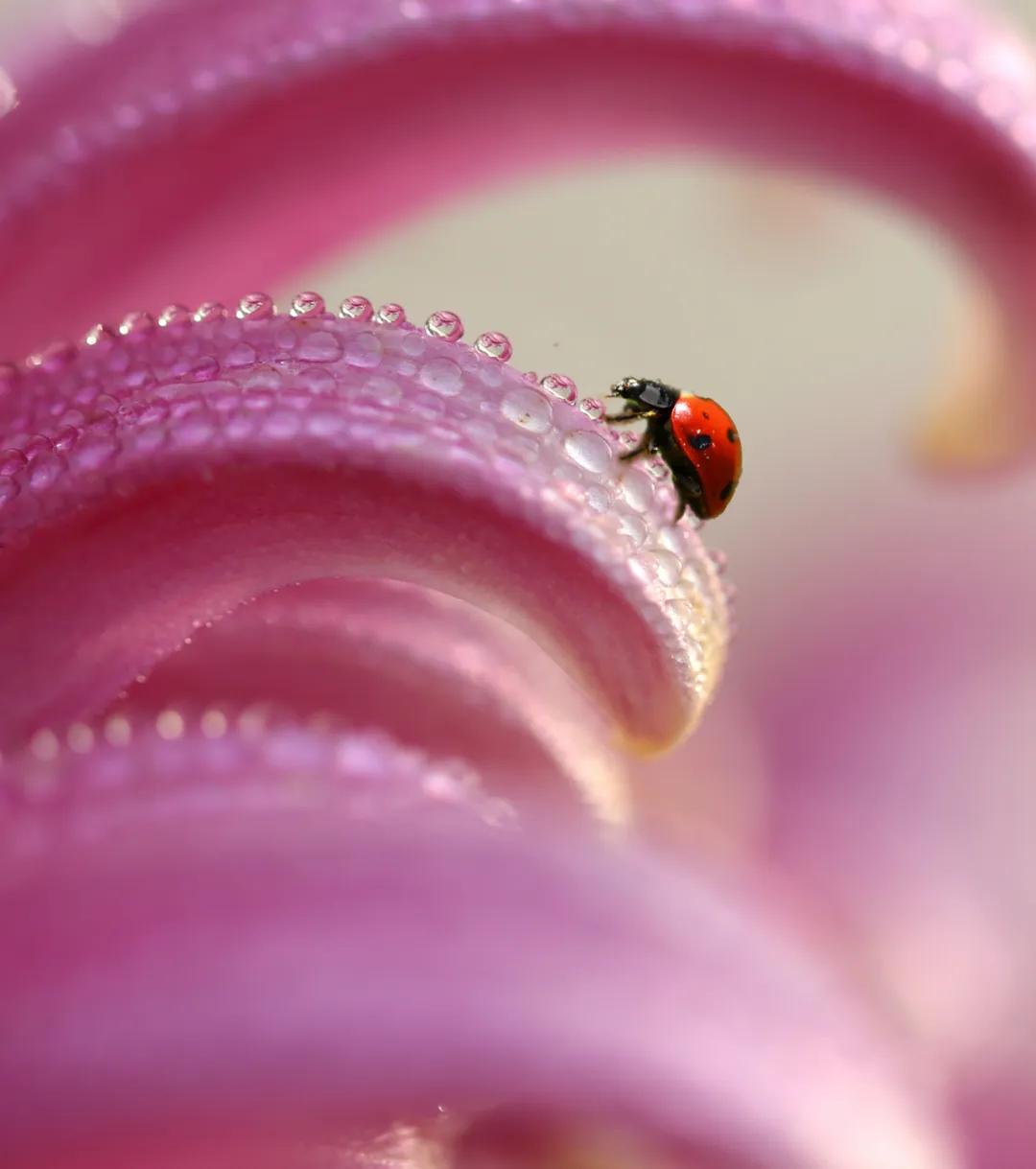 香港第14届全国摄影艺术展,第29届全国摄影艺术展览获奖名单