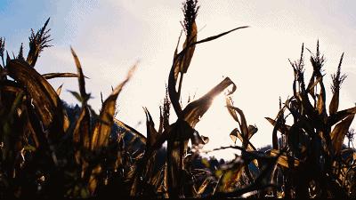 三伏天来了怎样避暑,三伏天避暑地点