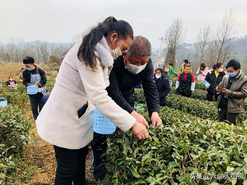 钟山区大河镇：*党**员助春耕“卷起裤腿”下田头