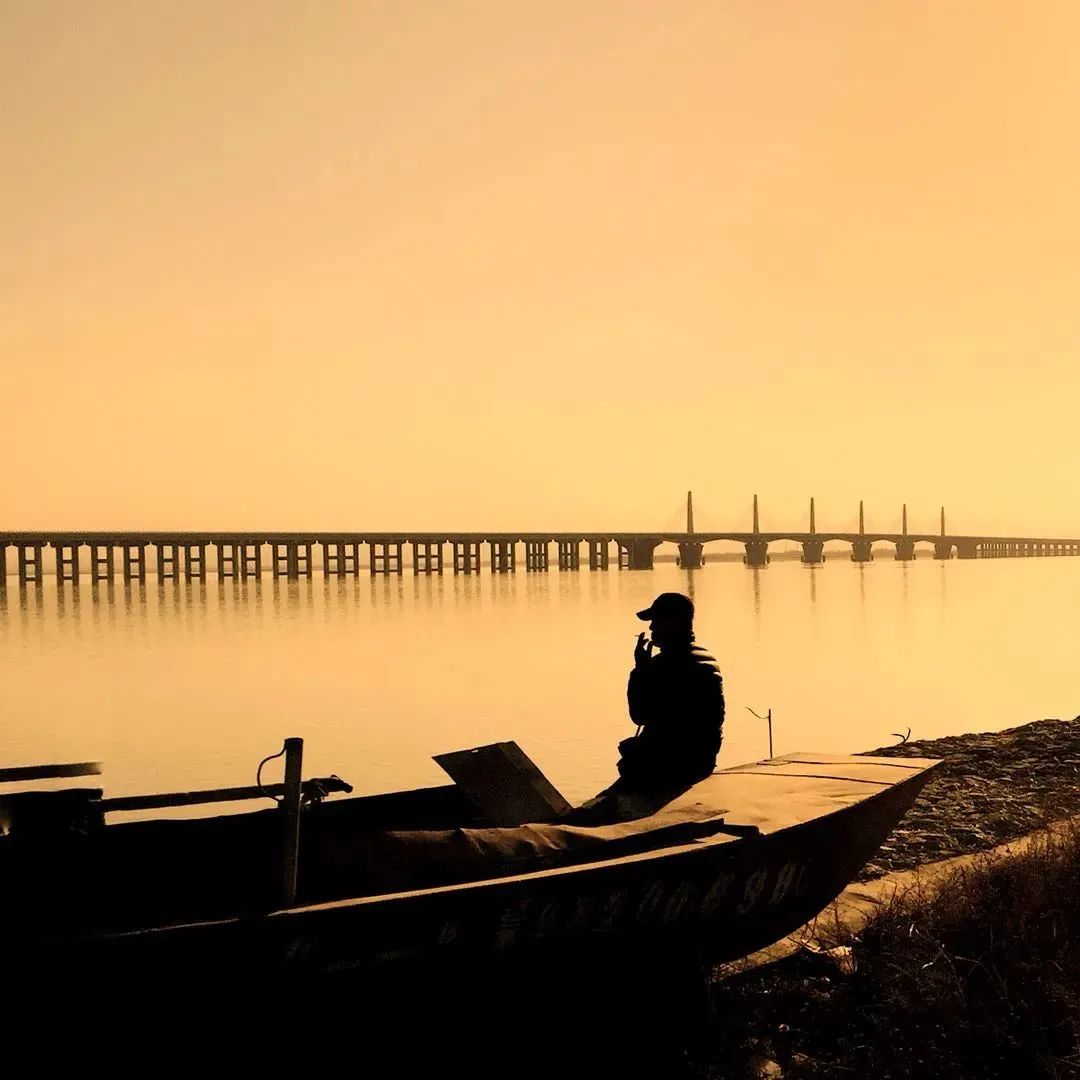点赞他们的高光时刻,大家用手机拍出过什么好看的照片