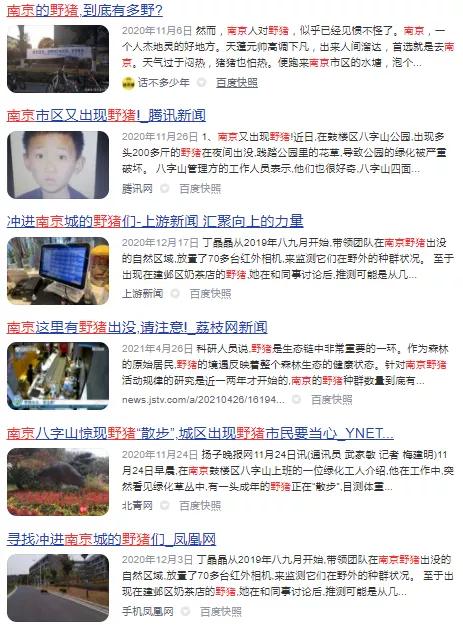 有多少南京人，获得过猫头鹰的祝福