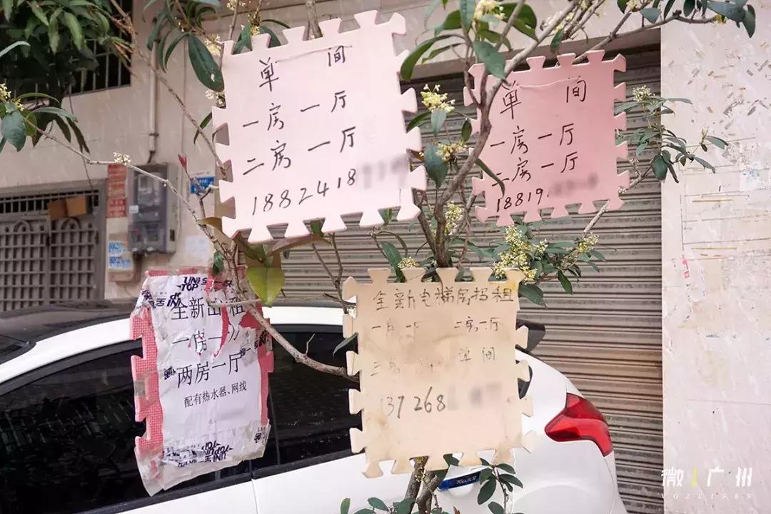 嘉禾望岗租房三个月起租,嘉禾望岗租房600元