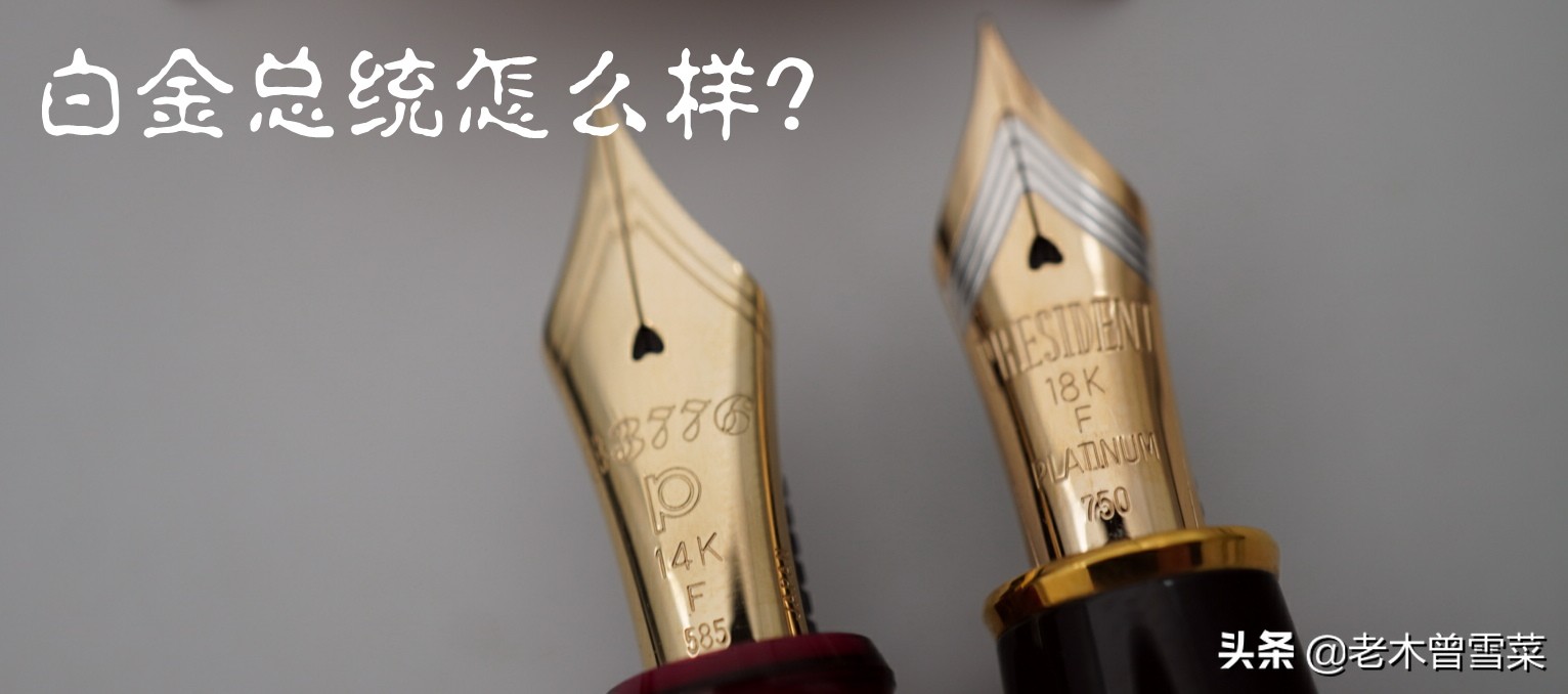 白金钢笔平价好用推荐,白金3776sf尖钢笔测评