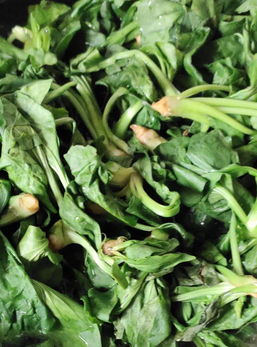 车前草清明节,车前草怎么做最好吃