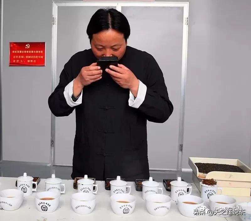 口粮茶哪个牌子好喝又便宜,什么茶耐泡好喝便宜