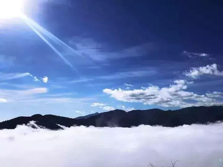 滇红性价比最高的茶厂,滇红茶极品