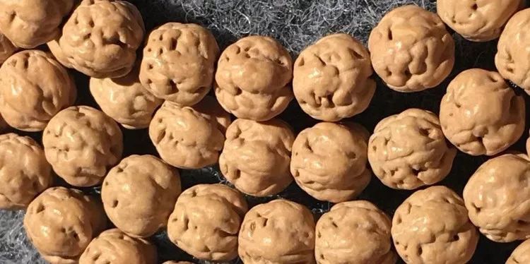 小金刚菩提子各种纹路图片,小金刚菩提的纹路有哪些