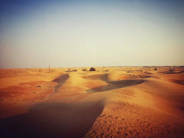 出境游，3分钟教你选对旅行险