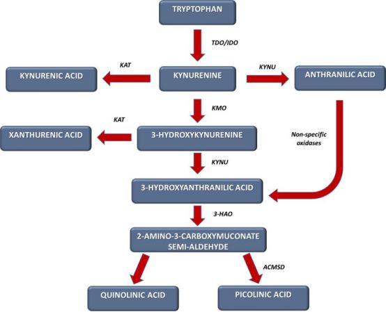 改善认知功能障碍抗抑郁药,新型治疗抑郁症药对比