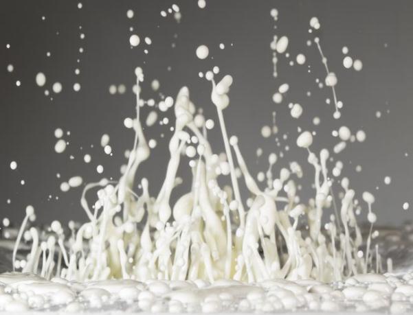 吸血鬼的科学分析,吸血鬼有关的研究