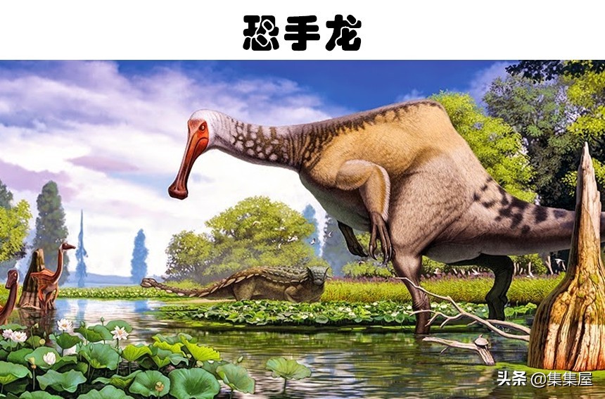 科学家发现的四种奇怪动物,科学家发现的极度奇怪的生物