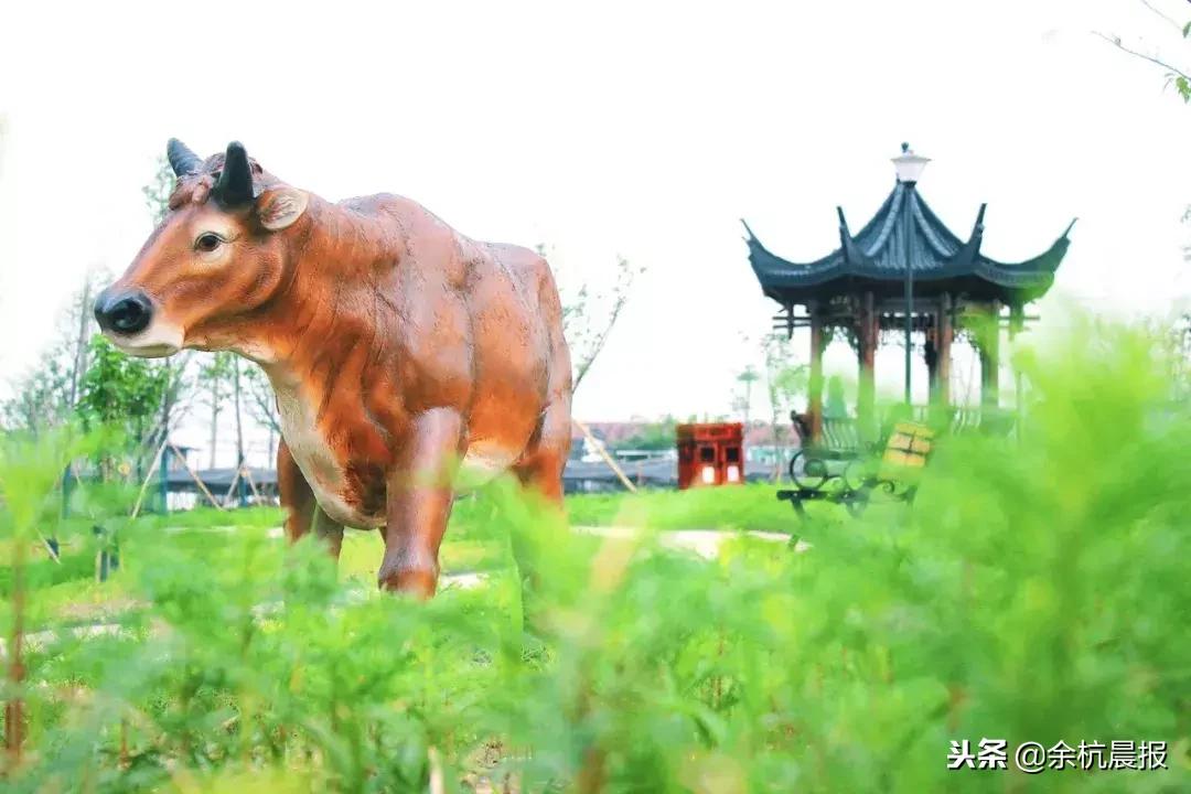 这里是攀枝花,走进仁和