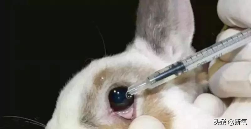 撞脸宋轶抖音,撞脸宋轶的人