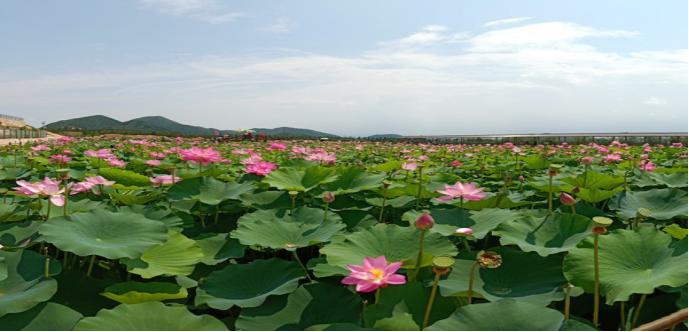 十大致癌因素尽量避开,致癌的潜在表现