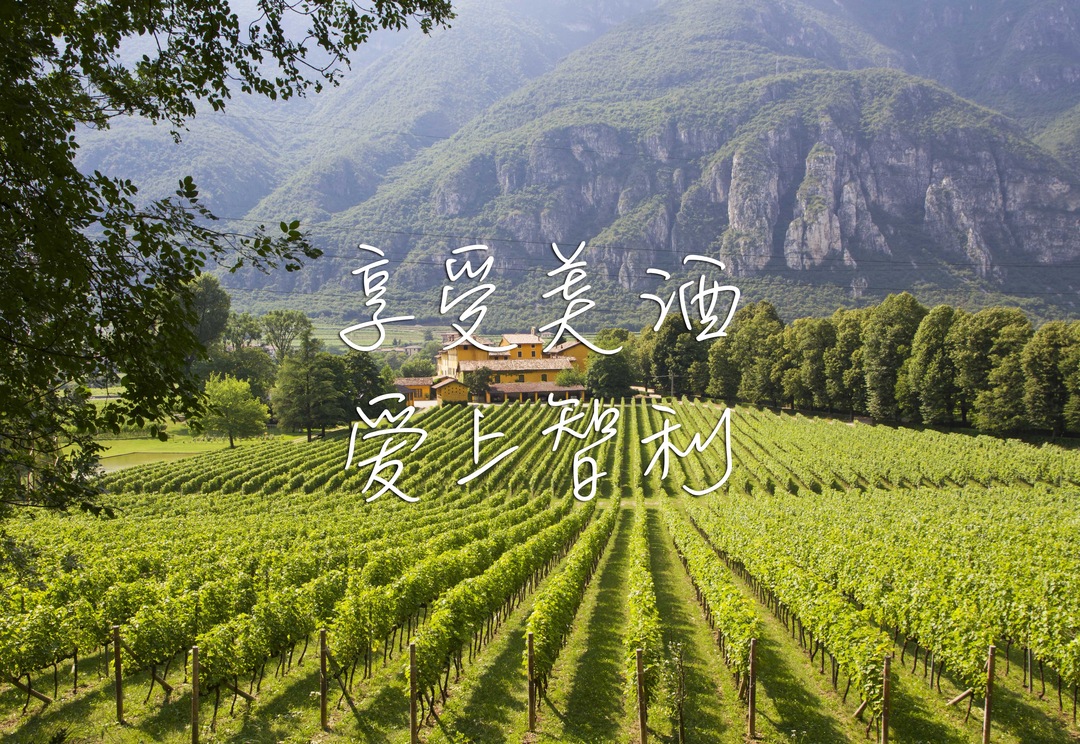 540+国家展团品牌商集结2021成都TAOWINE酒店展