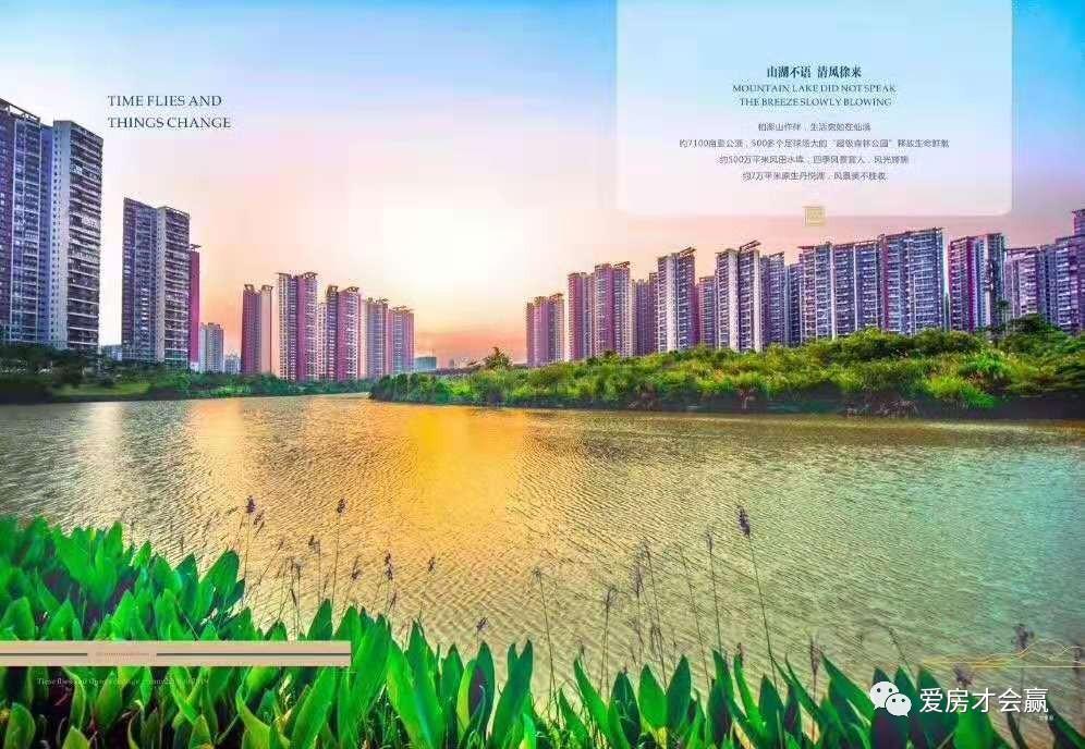 惠州第一神盘「星河丹堤」高铁地铁枢纽，南师大附属学校，成熟大城