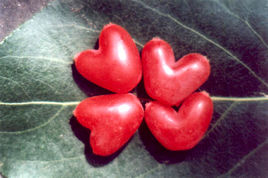 在现实中最适合吃的10个恶魔果实,最厉害的五种恶魔果实