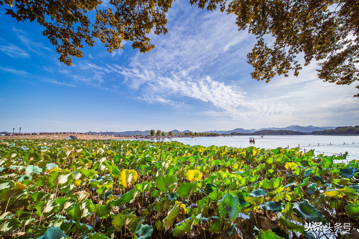 西湖周围有哪些名人的墓,西湖有多少名人的墓