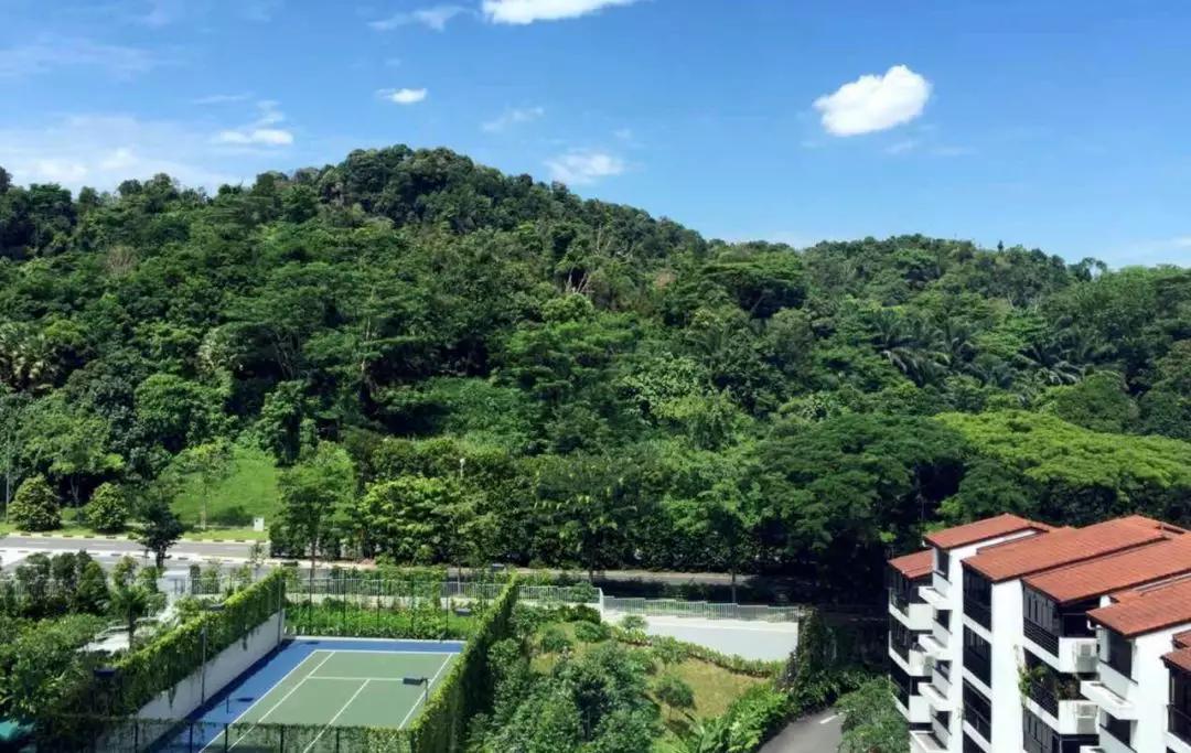 新加坡出租房子攻略,新加坡租房攻略大全图片