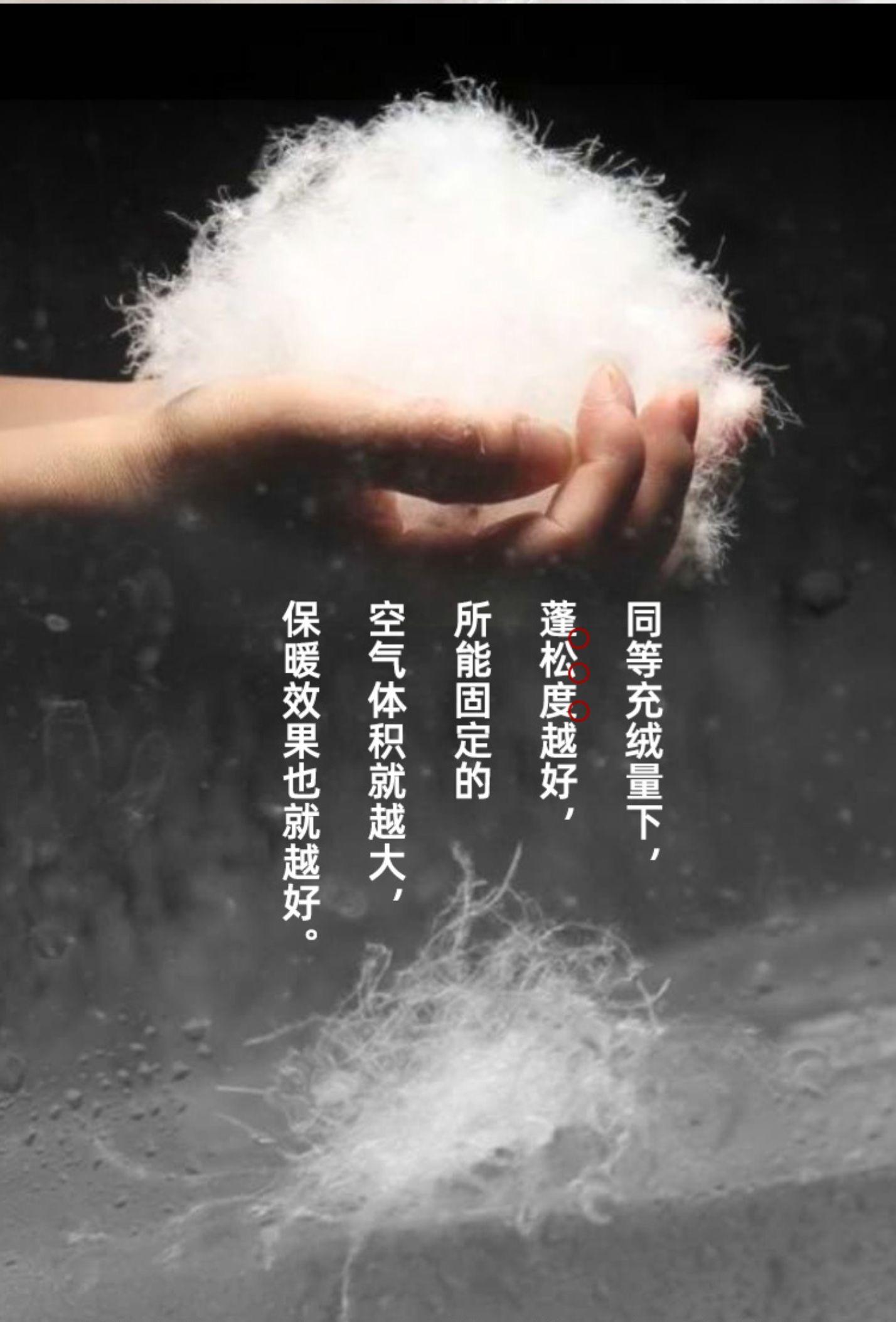 加拿大鹅羽绒服黑标好还是红标好,加拿大鹅羽绒服在加拿大卖多少钱