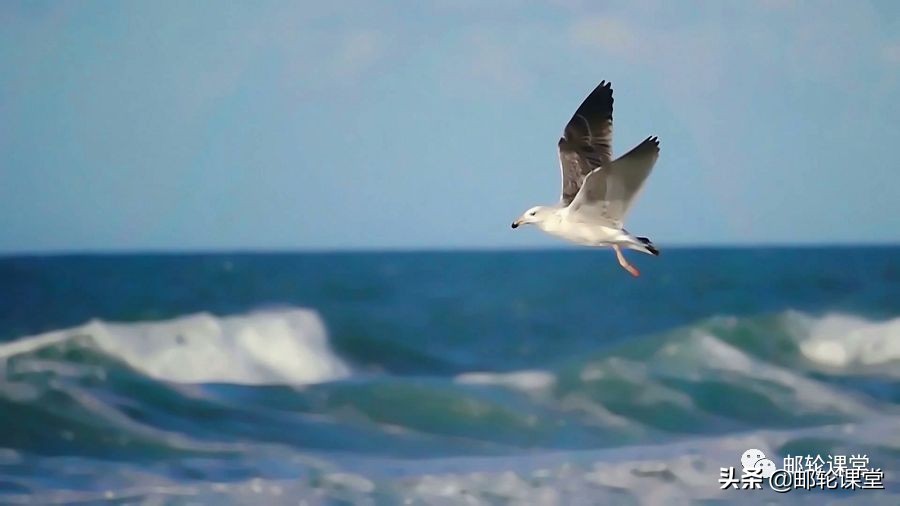 温州上船!国内就可以出发的环球航线,和平之船360度环球之旅