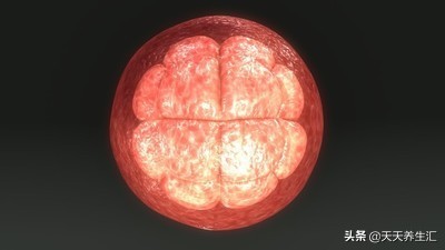 正常情况下精子存活多长时间,安全期里精子存活多长时间