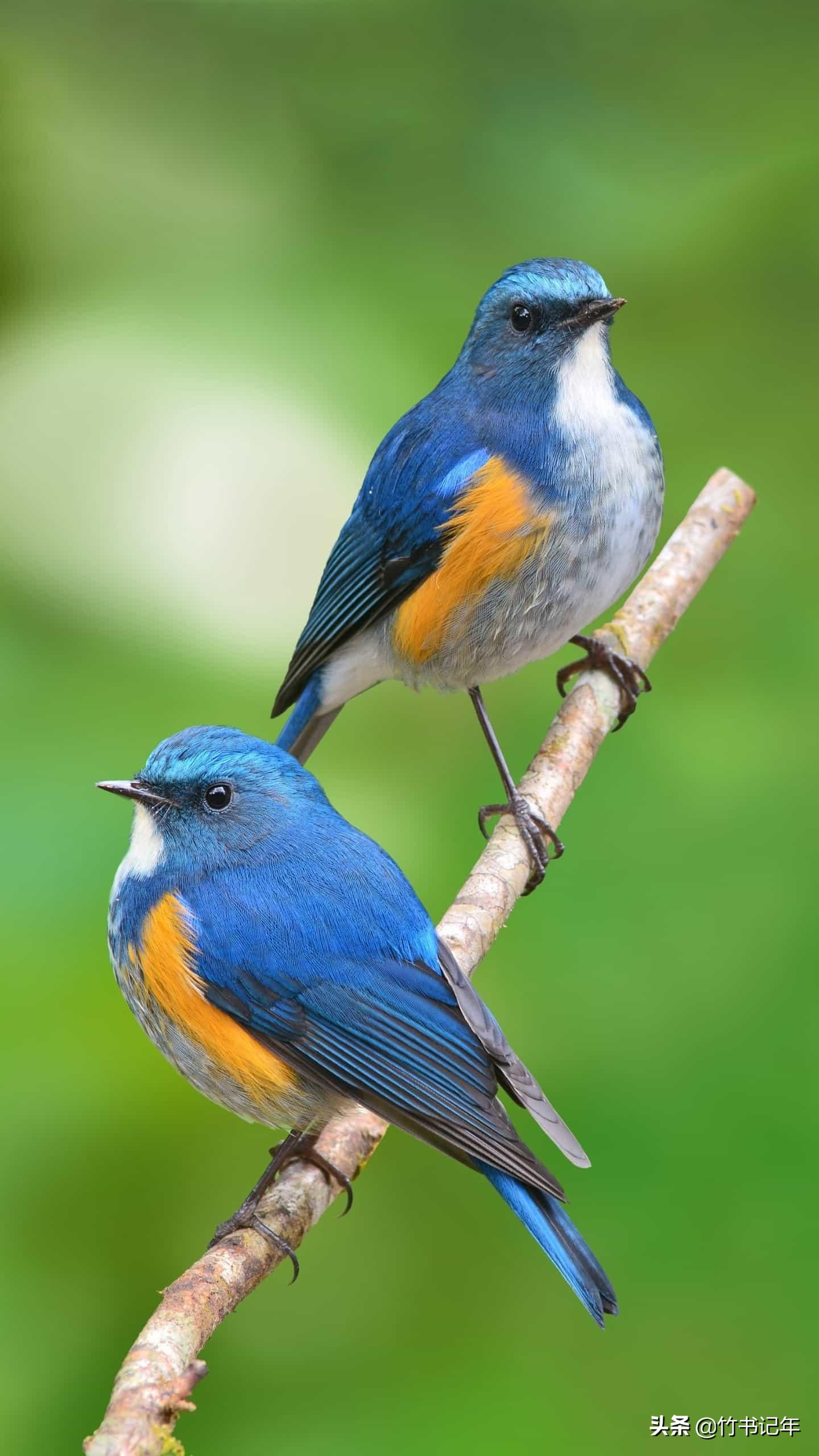 2023年7月14日简讯,2022年4月30日简讯