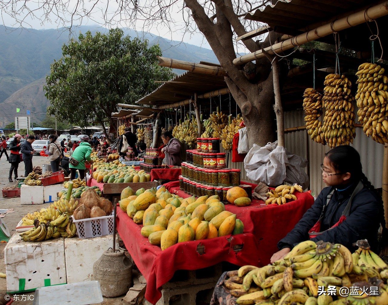 买水果哪个网站最好,水果网上在哪买比较好