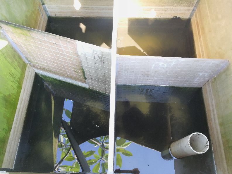 记录养龟人的入坑之路,每个养龟人梦寐以求的状态