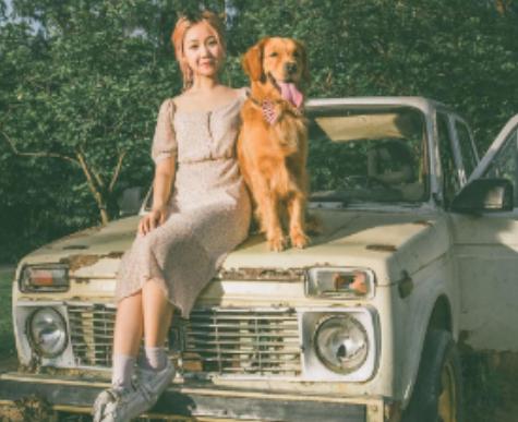 饲养宠物狗易出现的几大误区,宠物狗饲养方法和注意事项