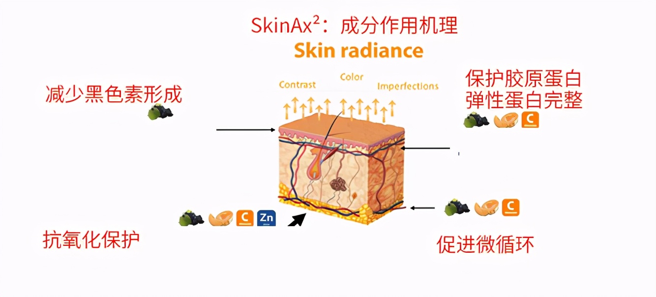 胶原蛋白葡萄籽和vc怎么吃,肌肤秘钥胶原蛋白葡萄籽
