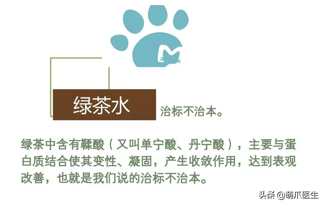 猫咪黑下巴毛囊炎的终极解决办法,猫咪有毛囊炎胡须还能长出来吗
