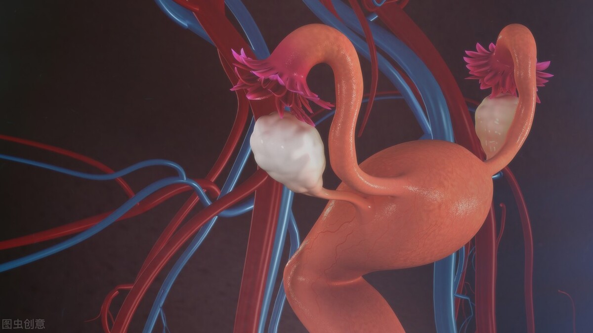 太干净，反而提高患生殖系统癌症风险，医生提醒：这一行为不可取