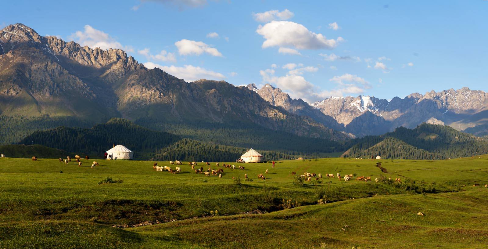 新疆天山申请世界自然遗产,天山为什么被入选为世界自然遗产