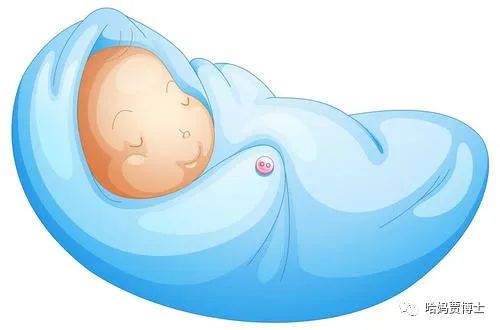 了解新生儿需要的知识,了解新生儿护理的常识