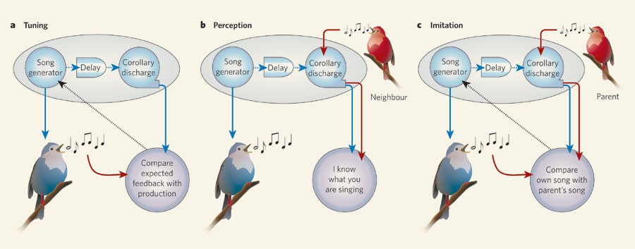 职场与同事相处九大忌,职场与同事沟通的技巧有哪些