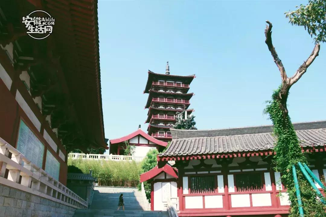 合肥市区免费游玩推荐,合肥市区一日游推荐免费景点