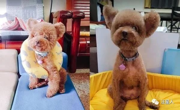 67岁耳朵嗡嗡响是什么原因,57岁耳朵嗡嗡响是怎么啦