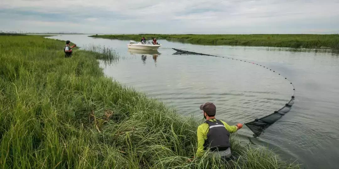 温哥华,超出你期待的钓鱼圣地