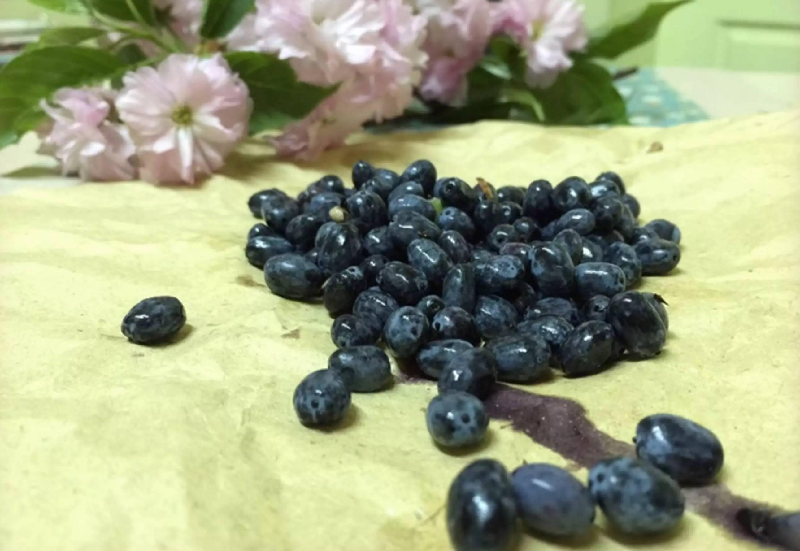 草木扎染方式,草木染简单做法