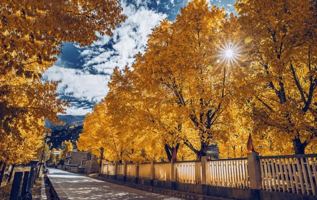 国庆旅游稻城亚丁自驾游最佳路线,国庆川西稻城亚丁风景区一日游