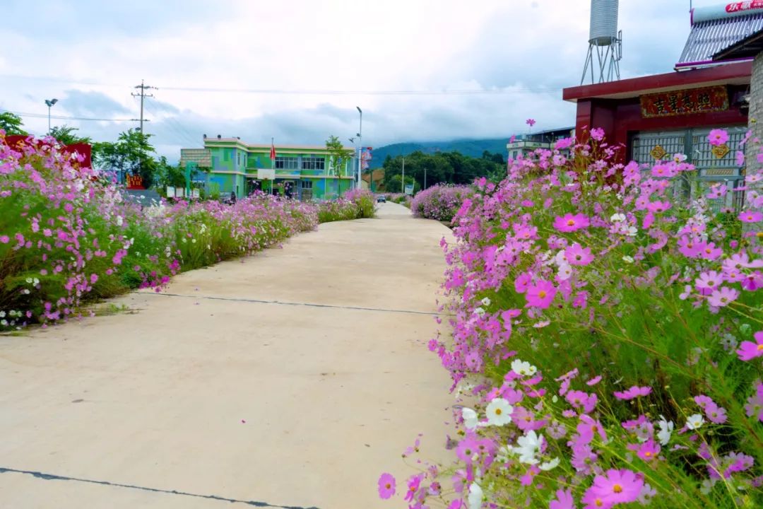说秋道冬话永胜，气候多样人宜居