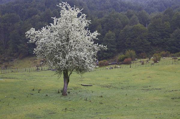 老巴塔哥尼亚,老巴塔哥尼亚快车路线