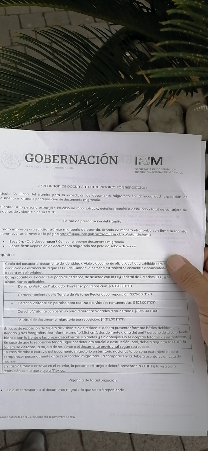 墨西哥签证过期如何办理延期,墨西哥入境延期最新政策