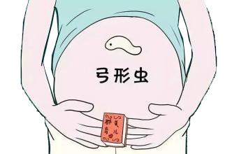 备孕期间养猫的危害,备孕期间养猫对胎儿有影响吗