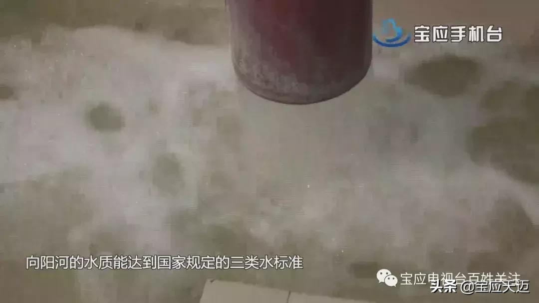宝应广洋湖规划图,宝应射阳湖镇环保