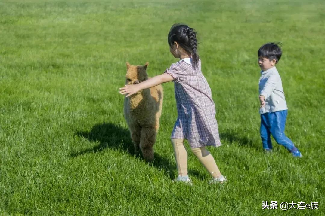 2022灵山春节免费景点,1月份哪些景点免费