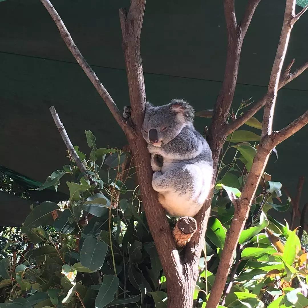 日本身价2220亿的富豪网上征婚，网友表示：“我可以！”