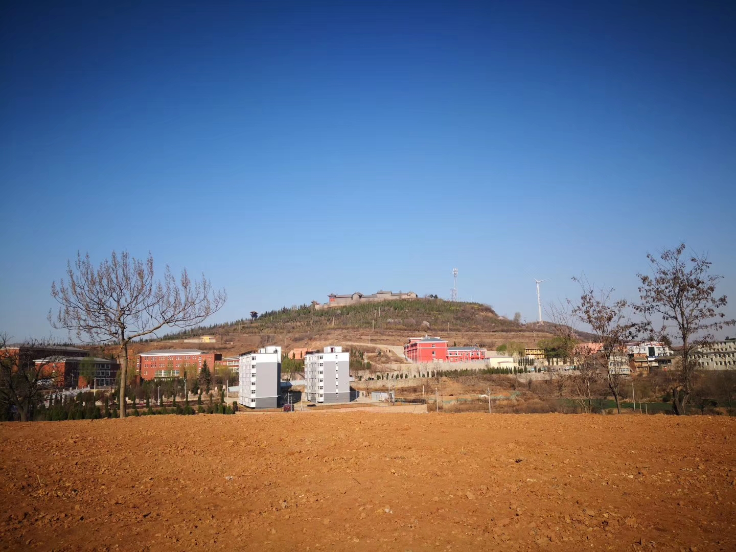 泽州方言经典语录,泽州方言